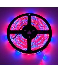 12V 5050 5M Plant Growing Strip LED Flex Red Blue 3:1 Light Hydroponic